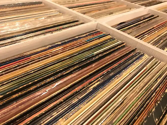 Vitamin Vintage Vinyl storefront