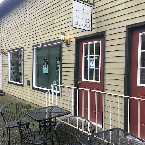 Dig Vinyl storefront